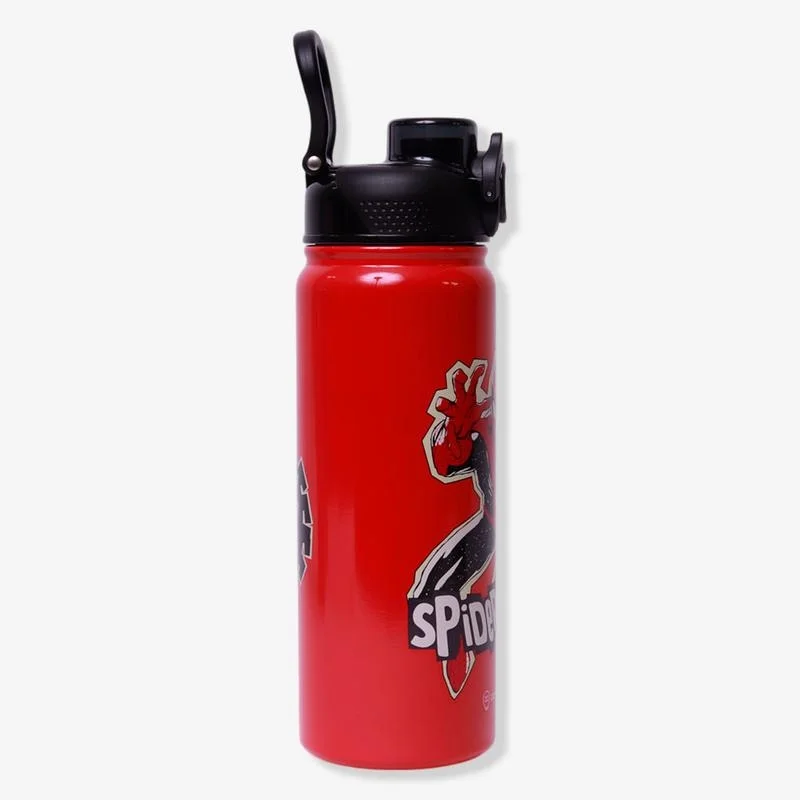 Imagem 2 de 5 do produto Garrafa Galaxy 650ml Spider Man