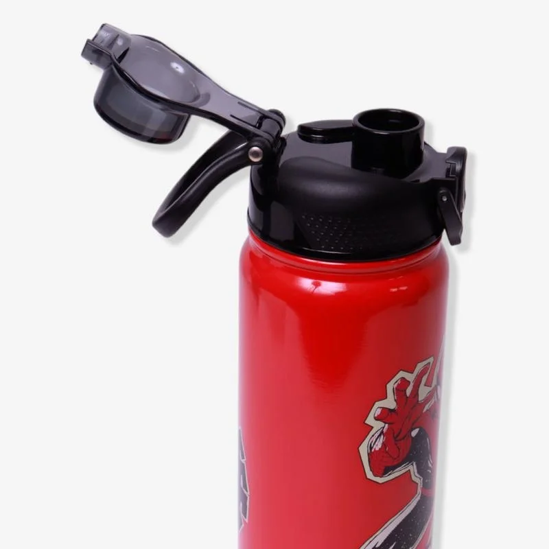 Imagem 3 de 5 do produto Garrafa Galaxy 650ml Spider Man