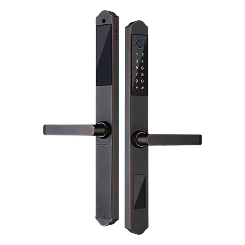 Fechadura Digital S611-1 Wi-fi Tuya Biometria Senha Cartão Ic Chave Usb Ip65 Preto Alumínio Porta Externa Inteligente
