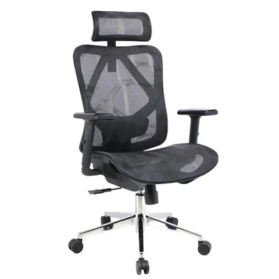 Cadeira De Escritório Diretor Dr.office Giratória Ergo, Mesh Respirável, Regulagem De Altura, Apoio Lombar, Cor Preta