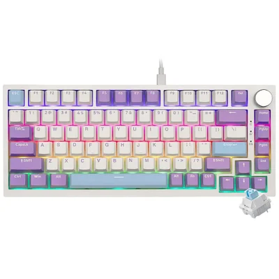 Teclado Gamer Mecânico Ajazz Ak820 Usb RGB Sea Salt Switch Inglês Branco Roxo Anti-ghosting Hot-swap