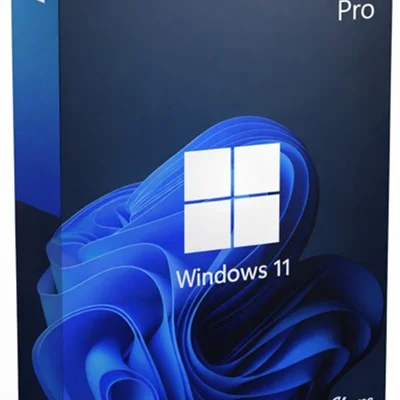 WINDOWS 11 Pro - 1 PC Mídia física