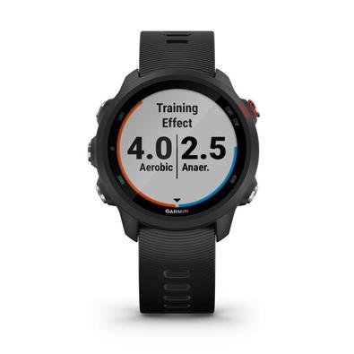 gramin forerunner 245