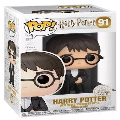 Harry Potter nasceu em 31 de julho de 1980, filho de Tiago Potter e Lílian Evans Potter. No fim da Primeira Guerra Bruxa, ele teve que ir morar com se