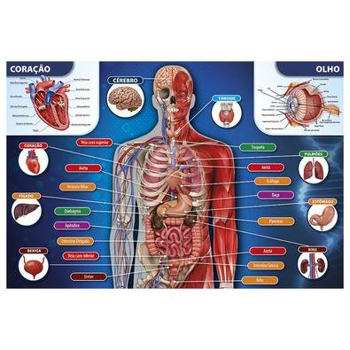 Um quebra-cabeça para você conhecer um pouco mais sobre a anatomia humana! Ele traz uma imagem do corpo humano ilustrando os órgãos, como coração, rin