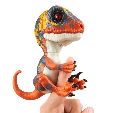 Meu nome é Untamed e tenho um temperamento bem quente! Sou da família Untamed Raptors e somos conhecidos por sermos criaturas ferozes e imprevisíveis!