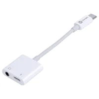 Adaptador De Audio Vinik P2 + Carregador Para USB-C - ADPATC7.1