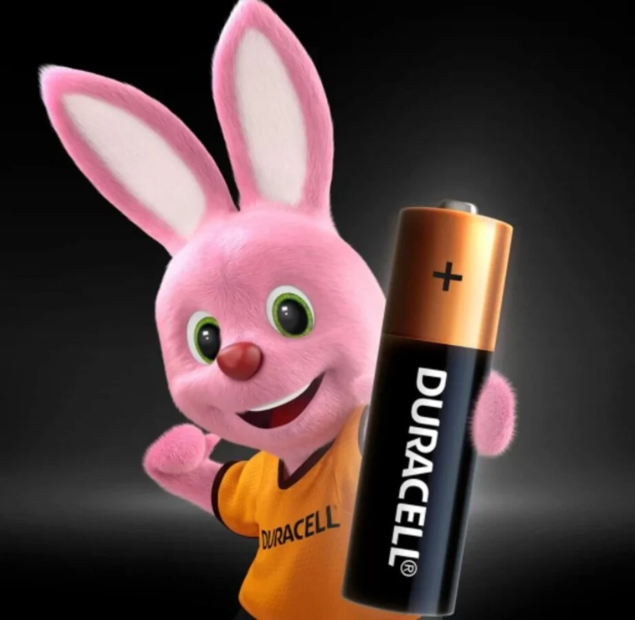 Pilha Alcalina Duracell, AAA , 8 Unidades