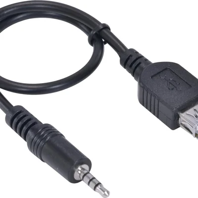 Cabo P2 X USB Fêmea Vinik, 30cm - PS2USBF-30