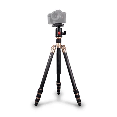 Tripé Kingjoy Cc-258 Fibra De Carbono Com Cabeça Ball Head Até 10kg (dourado)