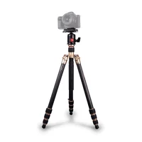 Tripé Kingjoy Cc-258 Fibra De Carbono Com Cabeça Ball Head Até 10kg (dourado)