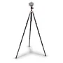 Tripé Kingjoy Cc-258 Fibra De Carbono Com Cabeça Ball Head Até 10kg (dourado)