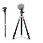 Tripé Monopé Kingjoy Cc-258 Fibra De Carbono Com Cabeça Ball Head Até 10kg