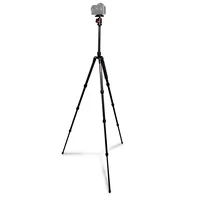 Tripé Com Cabeça Ball Head Kingjoy Ct-228+qb00 Fibra De Carbono Para Até 8kg