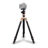 Tripé / Monopé Kingjoy Ac-288 Alumínio Com Cabeça Ball Head Qe-1t Até 10kg