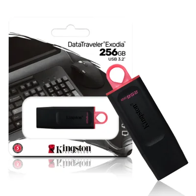 Pen Drive Kingston, 256GB, USB 3.2, Datatraveler Exodia Dtx/256GB