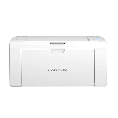 Impressora Laser Pantum Monocromática, USB 2.0, Duplex, 110V - P2509W