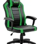 Cadeira Gamer Viper Snake Gaming Reclinável 0440 Peso Suportado Até 120 Kg, Verde