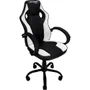 Cadeira Gamer Mymax Mx0, Suporta Até 120kg, Giratória, Preto E Branco