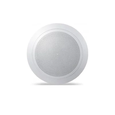 Arandela 6 Full Range 12w Rms 8 Ohms Ar-612 F Hayonik