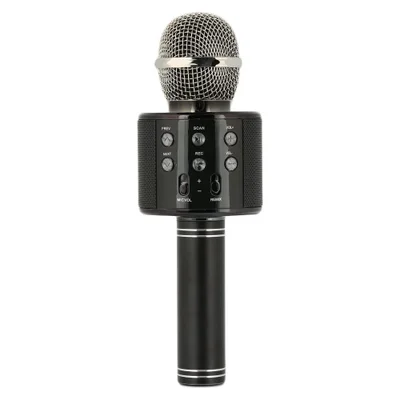 Microfone De Karaokê Sem Fio Portátil, Player De Karaokê Portátil  Bluetooth Preto