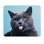 Mouse Pad Estampado Classic Estampa Funny Cat Neopren Reliza