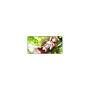 Mouse Pad Gamer Speed, Extra Grande 120x60Cm, Sword Art Online 3