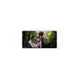 Mouse Pad Gamer Speed, Extra Grande 120x60Cm - Sword Art Online 2