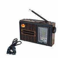 Rádio Portátil Am Fm Entrada Fone De Ouvido Sem Usb