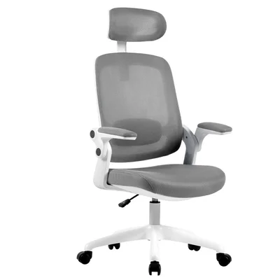 Cadeira De Escritório Elements Astra, Até 100Kg, Ergonômica, Cinza e Branca