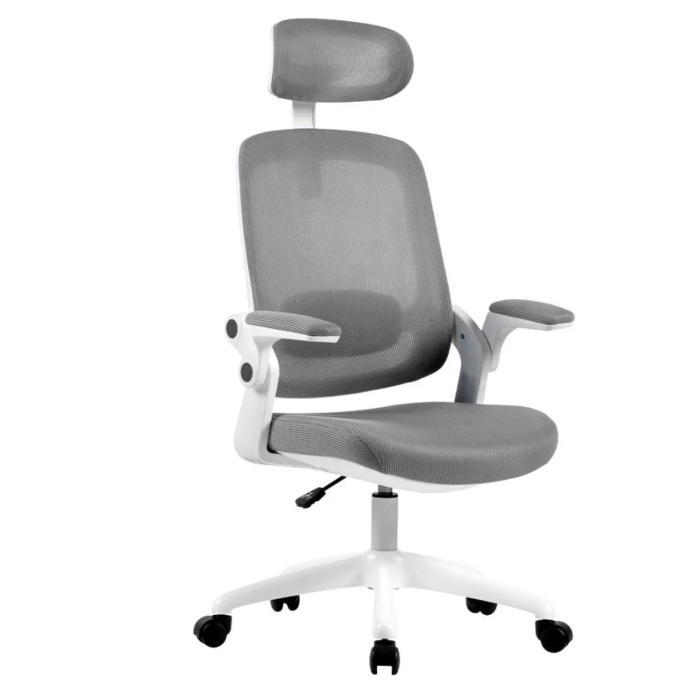 Cadeira De Escritório Elements Astra, Até 100Kg, Ergonômica, Cinza e Branca