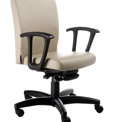 Cadeira Diretor Design Office Luxuosa, Linha Alpha, Com Braços Fixos, Bege