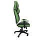 Cadeira Gamer Para Escritório, Linha Gamer Cagliari - Verde
