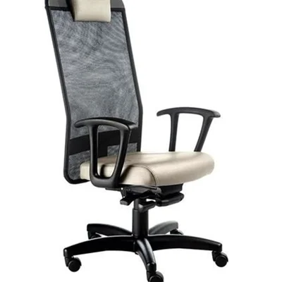 Cadeira Design Office Móveis Presidente, Até 120 Kg, Com Apoio De Cabeça, Tela Mesh - Bege