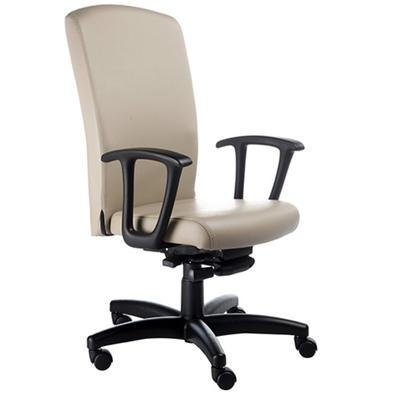 Cadeira Presidente Home Office, Luxuosa Com Braços, Fixos Linha Alpha Bege - Marrom