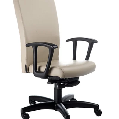 Cadeira Presidente Home Office, Luxuosa Com Braços Fixos Linha Alpha - Bege