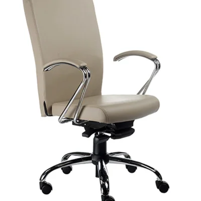 Cadeira Presidente Home Office, Luxuosa Com Braços Fixos Linha Alpha - Bege