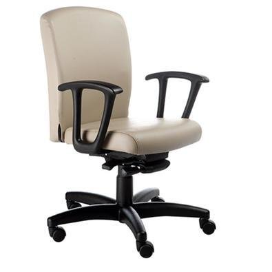 Poltrona Diretor Luxuosa Com Braços Fixos Linha Alpha, Bege
