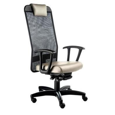 Cadeira Office Presidente Design Office Móveis, Com Apoio De Cabeça, Linha Tela Mesh - Bege