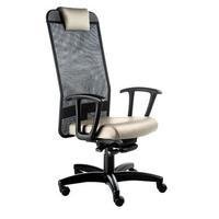 Cadeira Office Presidente Design Office Móveis, Com Apoio De Cabeça, Linha Tela Mesh - Bege