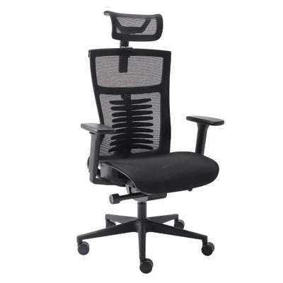 Cadeira De Escritório Elements Ergonômica, Preto, Vertta Special