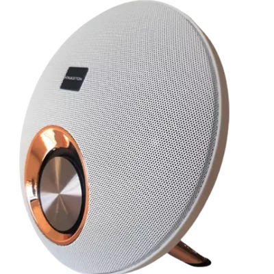 Caixa De Som Portátil, Bluetooth, Usb, P2 Sd Fm 20w - Branco