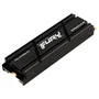 SSD Kingston 1TB Fury Renegade, M.2 Pcie 4.0 Nvme - Sfyrsk/1000g
