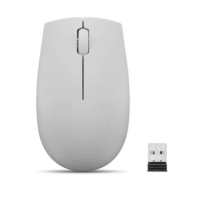 Mouse Sem Fio Compacto Lenovo 300 Cinza Gy51l15678