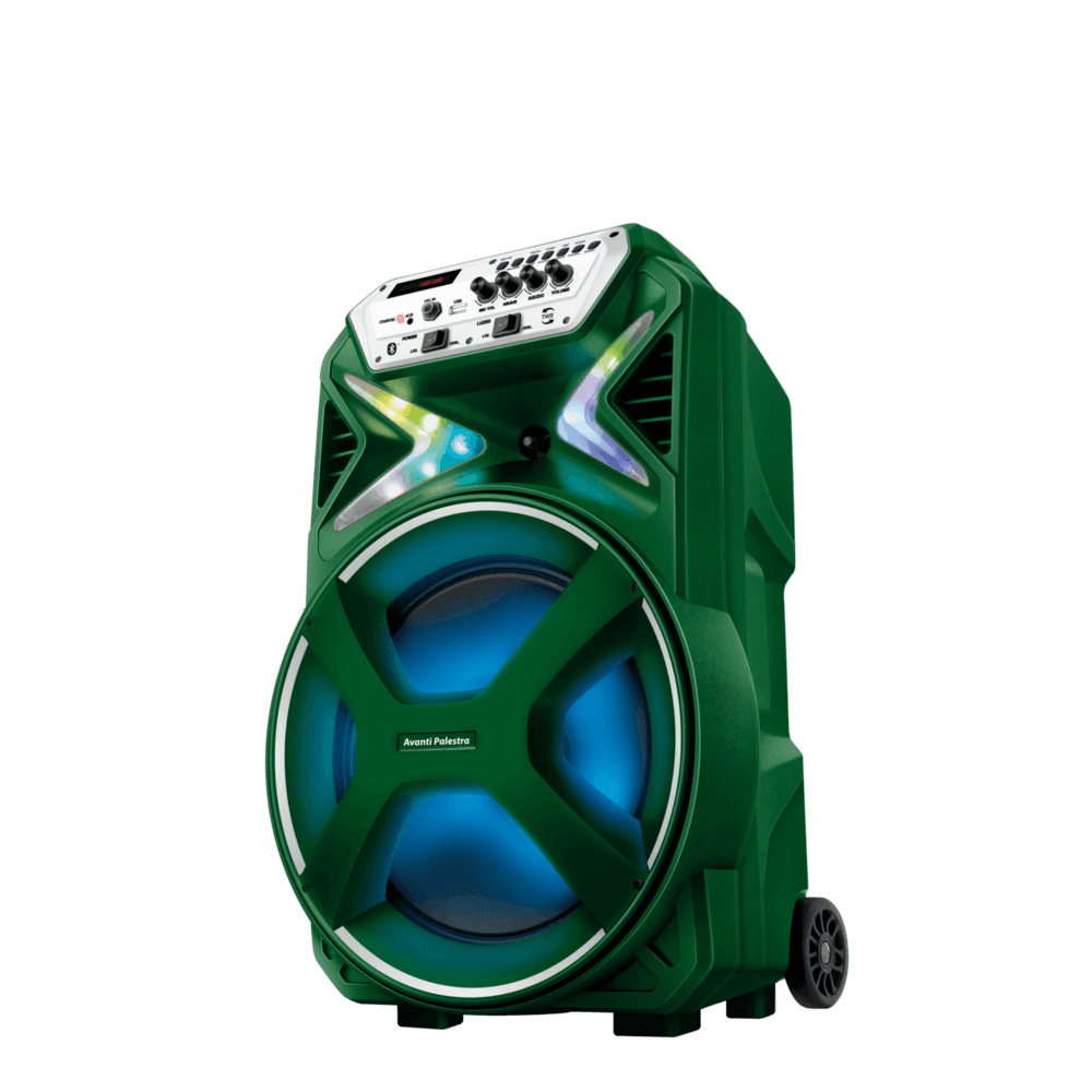 Caixa Amplificada Palmeiras Cmpa01 Bivolt KaBuM