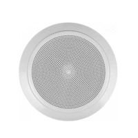 Caixa De Som Arandela Comfort Line Hayonik, 30w RMS, Trafo - Cl300ft