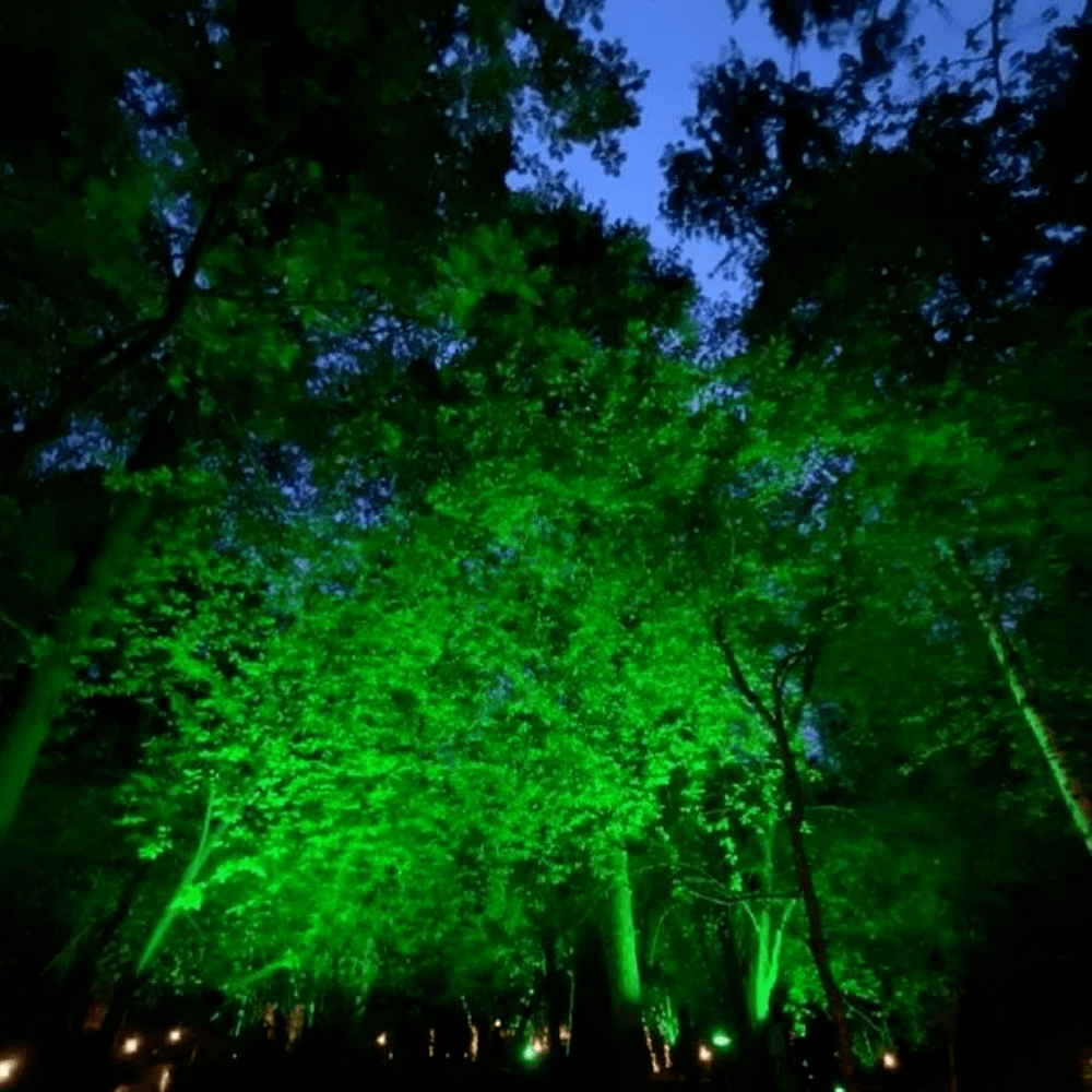 Imagem 4 de 5 do produto Refletor Blumenau De Led Slim 50w Verde Preto Bivolt
