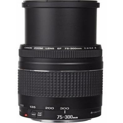 CANON ZOOM LENS EF 75-300mm 1:4-5.6 ⅡUSM KaBuM