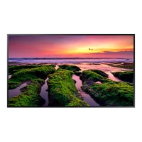 Monitor 43
