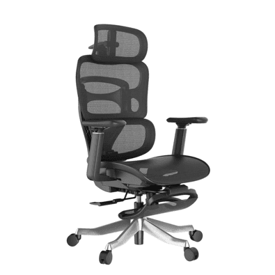 Cadeira De Escritório Ergonômica Sensetup Souldis Mesh Preta
